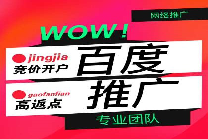 百度竞价广告的创意与执行：成功案例剖析